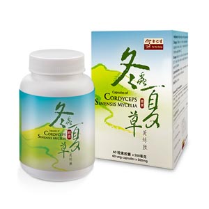 Capsules Of Cordyceps Sinensis Mycelia